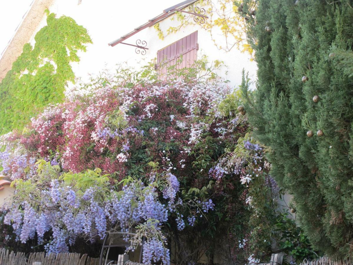Casa-Tena-Sorède Buitenkant foto