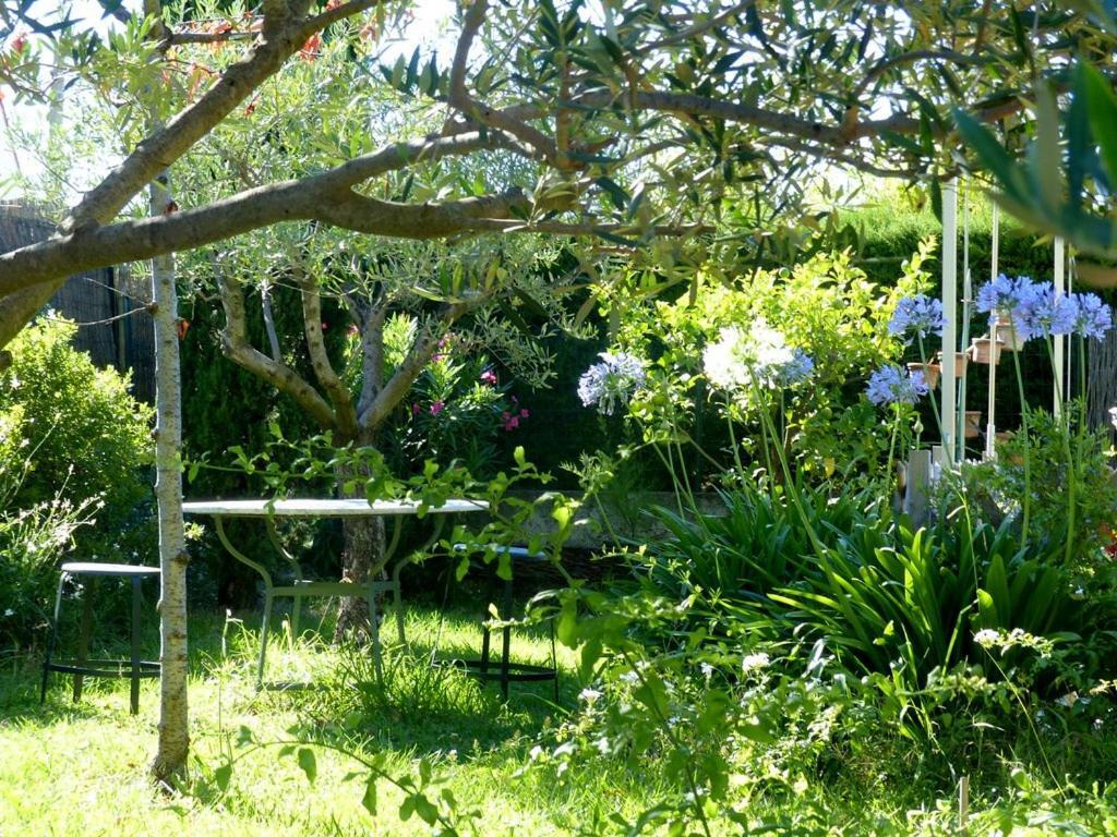 Casa-Tena-Sorède Kamer foto